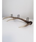 Sika deer antler candle holder for 3 candles