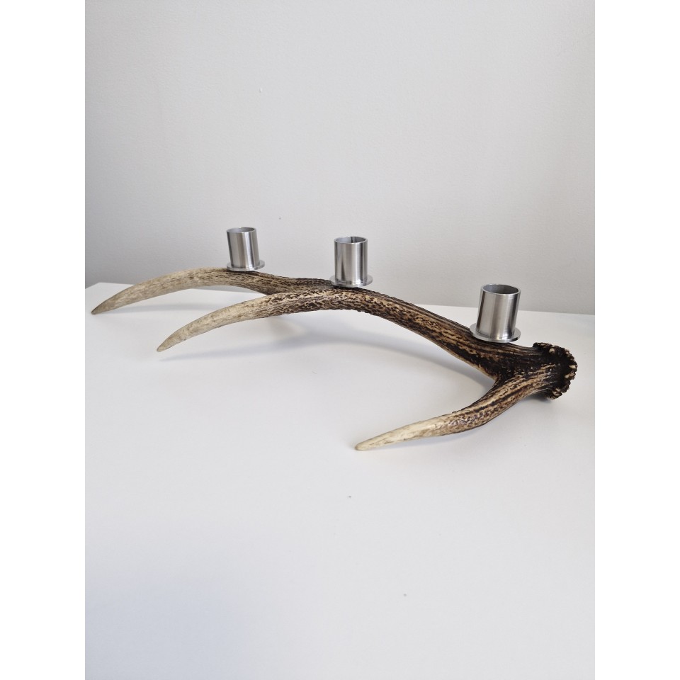 Sika deer antler candle holder for 3 candles