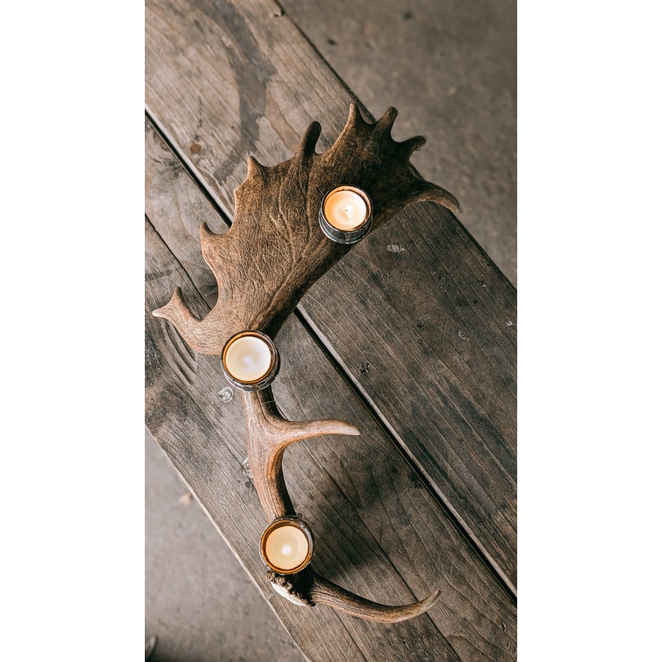Dovhjorthorn med 3 värmeljushållare i rostfri metall