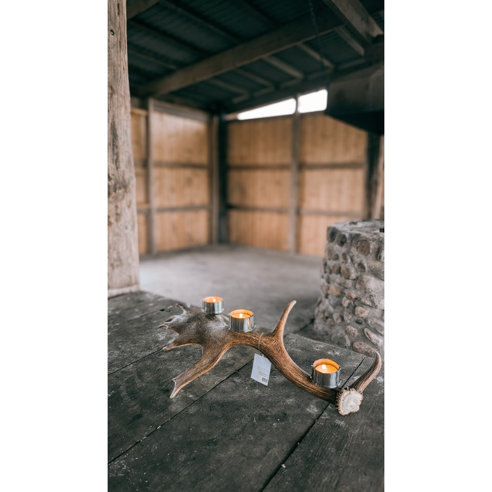 Dovhjorthorn med 3 värmeljushållare i rostfri metall