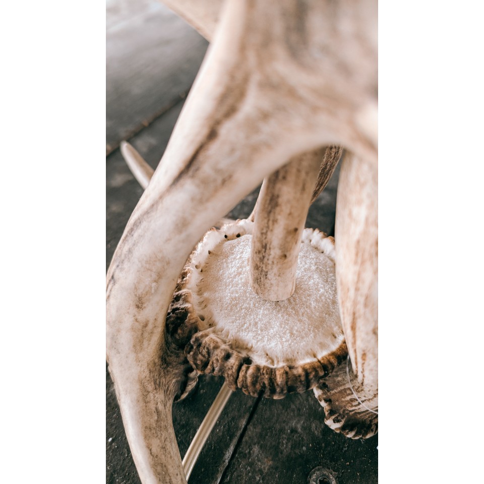 Hjorthorn bordslampa med lampskärm