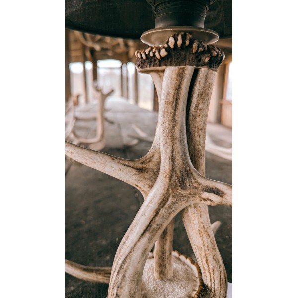 Hjorthorn bordslampa med lampskärm