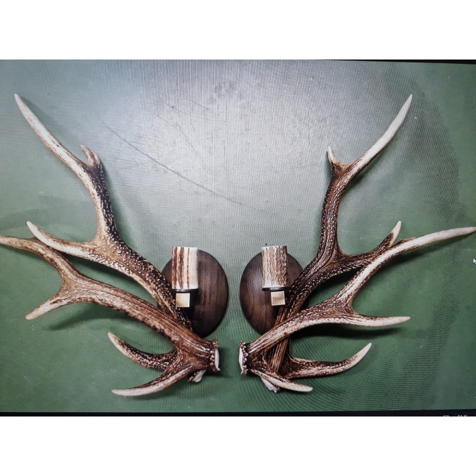 Sika Deer Antler Wall Lamp Natural 42cm