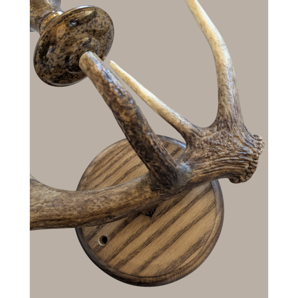 Red deer antler 1-light wall lamp natural 55 cm