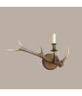 Red deer antler 1-light wall lamp natural 55 cm