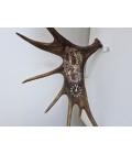Älghornsklocka med älggravyr