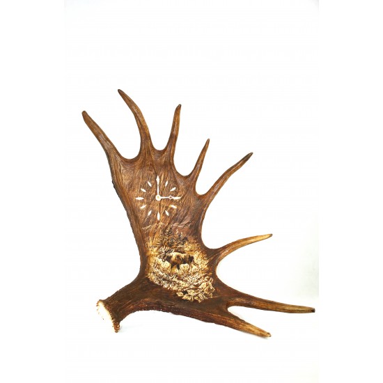 Moose antler clock with engraved moose motive