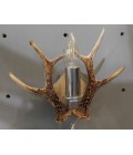 Rådjurshorn vägglampa rostfri naturlig 20 cm
