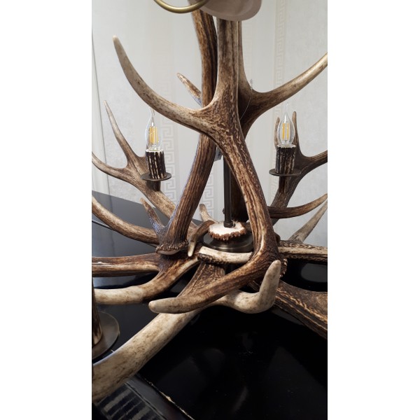 Deer antler chandelier 18 light 145cm