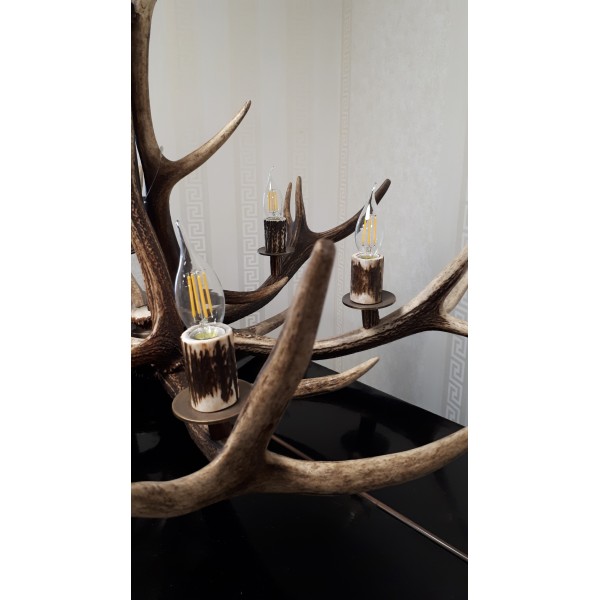 Hjorthorn takkrona med 8 ljuskällor 90 cm 