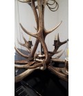 Deer antler chandelier 6 light 95cm Deer antler chandelier 6 light 95cm