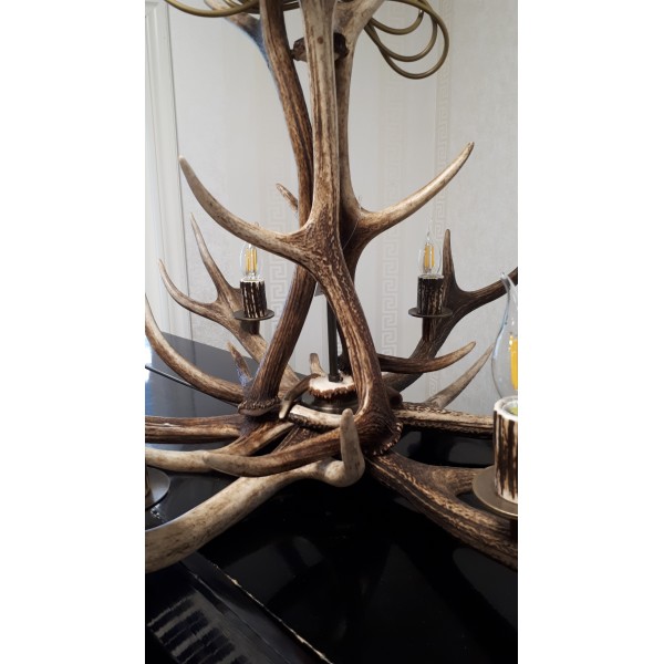 Hjorthorn takkrona 6 ljus 95 cm