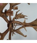Fallow deer antler chandelier 6 light 100cm