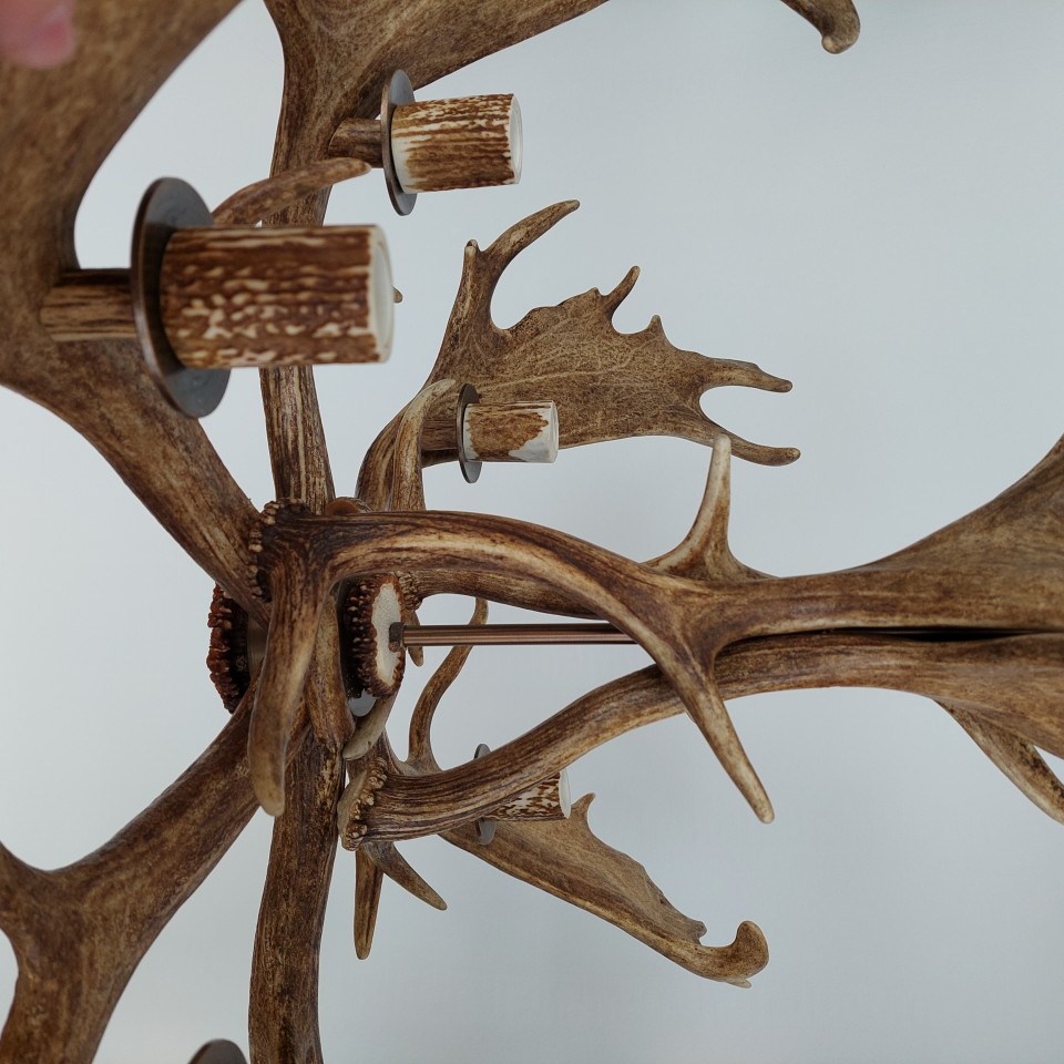 Fallow deer antler chandelier 6 light 100cm