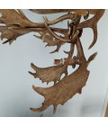 Fallow deer antler chandelier 6 light 100cm