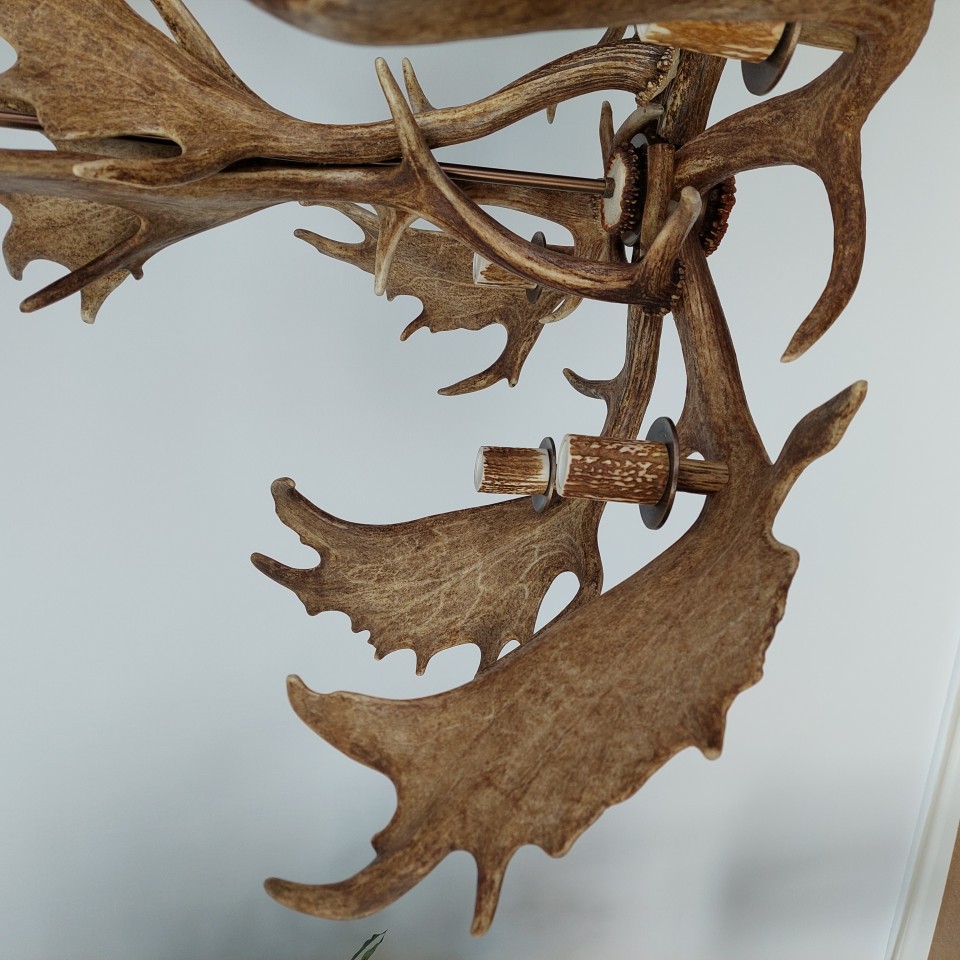 Fallow deer antler chandelier 6 light 100cm