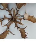 Fallow deer antler chandelier 6 light 100cm