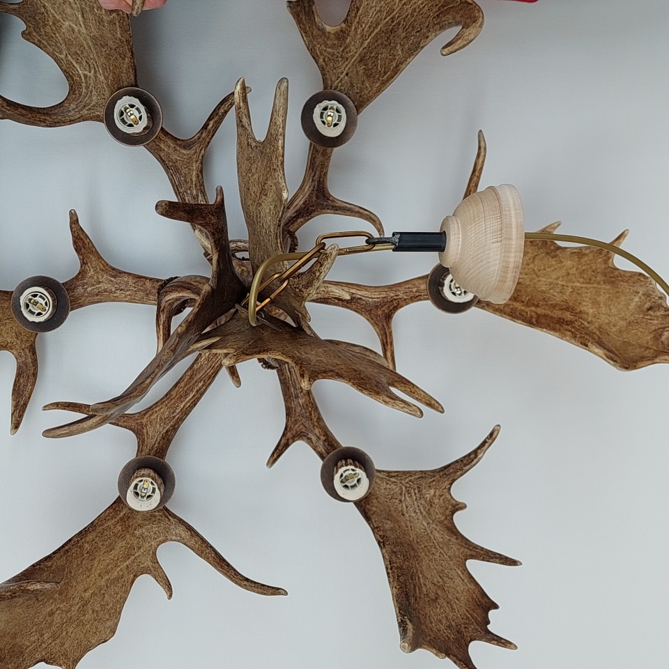 Fallow deer antler chandelier 6 light 100cm
