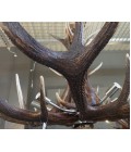 Deer Antler 8 Light Chandelier With Stainless Steel lampholders 110cm