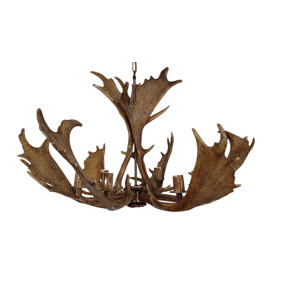 Fallow deer antler chandelier 6 light 100cm