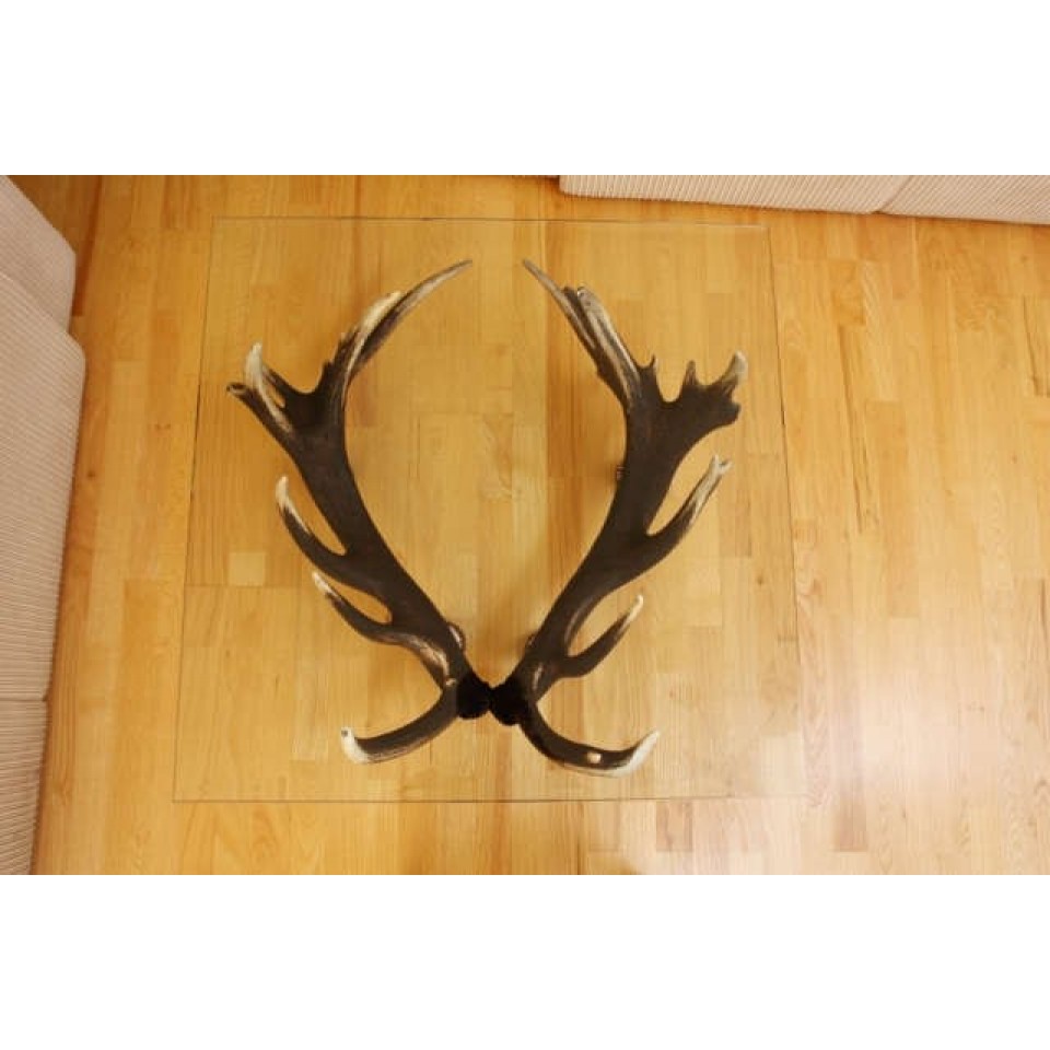 Hjorthorn fyrkantigt soffbord 85 cm