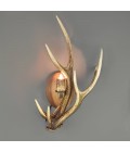 Sika Deer Antler Wall Lamp Natural 42cm