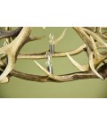 Deer Antler 4 Candle Light Chandelier 85cm