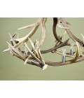 Deer Antler 4 Candle Light Chandelier 85cm