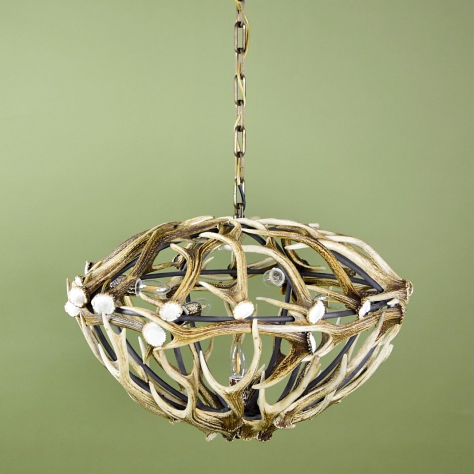 Sika Deer Antler 5 Candle Light Chandelier 70cm