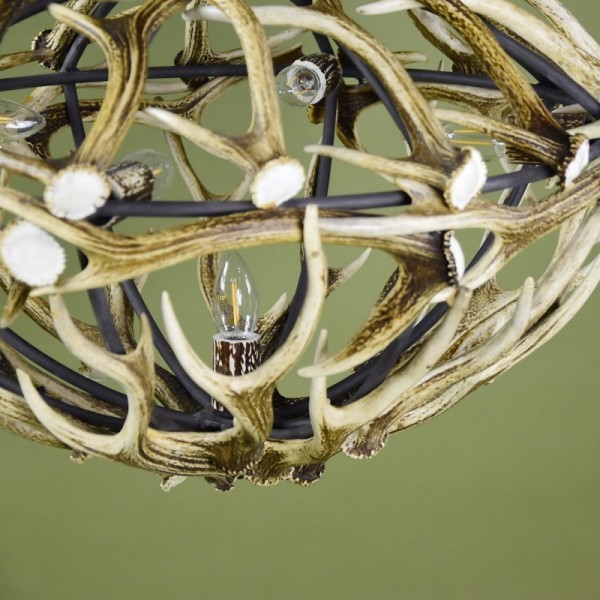 Sikahjorthorn takkrona 5-ljus 70 cm