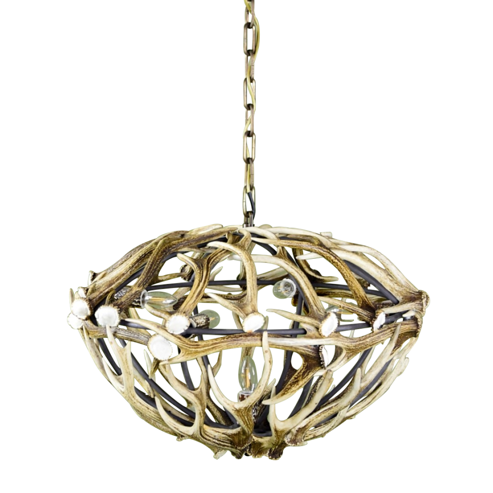 Sika Deer Antler 5 Candle Light Chandelier 70cm Sika Deer Antler 5 Candle Light Chandelier 70cm