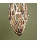Sika Deer Antler Small Ellipse Chandelier 40cm