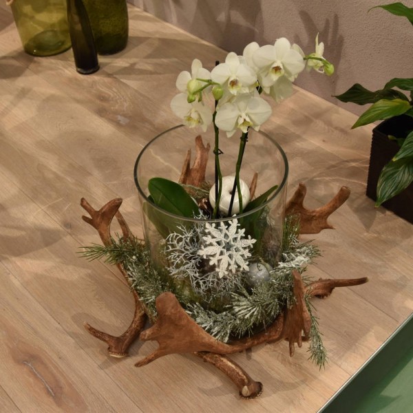 Dekorativ glascylinder med en hjorthornsbas