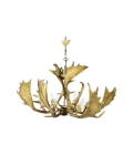 Fallow deer antler chandelier 6 light 90cm