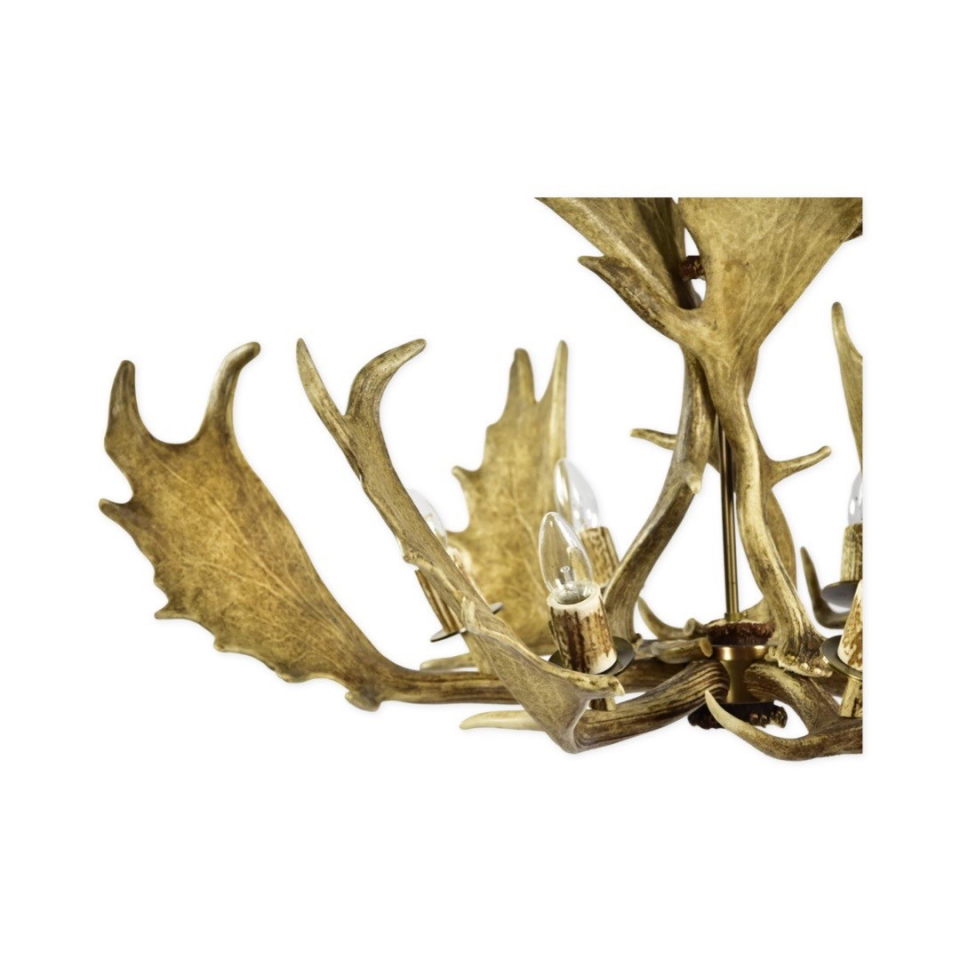 Fallow deer antler chandelier 6 light 90cm