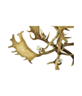 Fallow deer antler chandelier 6 light 90cm