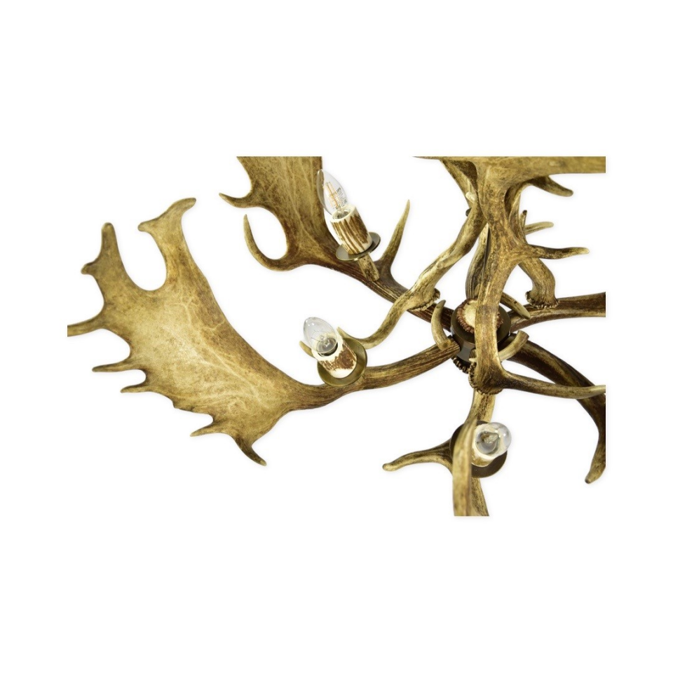 Fallow deer antler chandelier 6 light 90cm