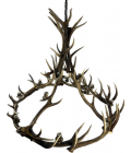 Red deer antler chandelier 12 light 130cm Red deer antler chandelier 12 light 130cm