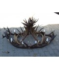 Red and Fallow deer antler oval chandelier 8 light 160cm