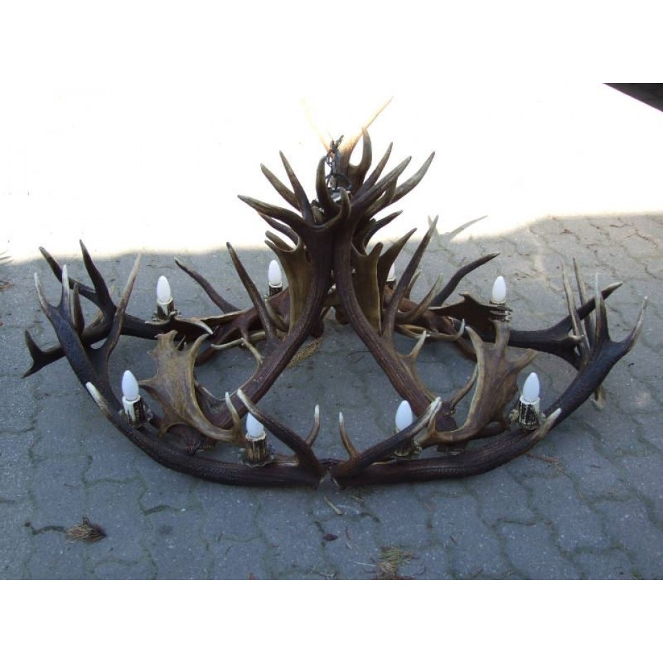 Red and Fallow deer antler oval chandelier 8 light 160cm