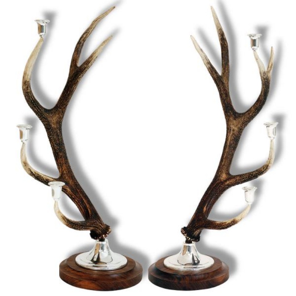 Hjorthorn med 6 ljushållare i rostfri metall