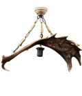 Fallow Deer Antler Single-Light Engraved Chandelier 60cm