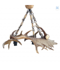Fallow Deer Antler 3 Light Chandelier 75cm Fallow Deer Antler 3 Light Chandelier 75cm