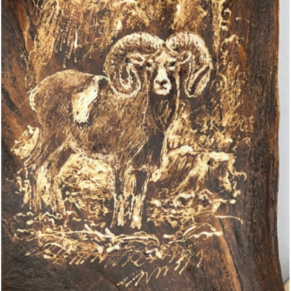 Mindre dovhjorthorn vägglampa med mufflongravyr naturlig 35 cm Mindre dovhjorthorn vägglampa med mufflongravyr naturlig 35 cm