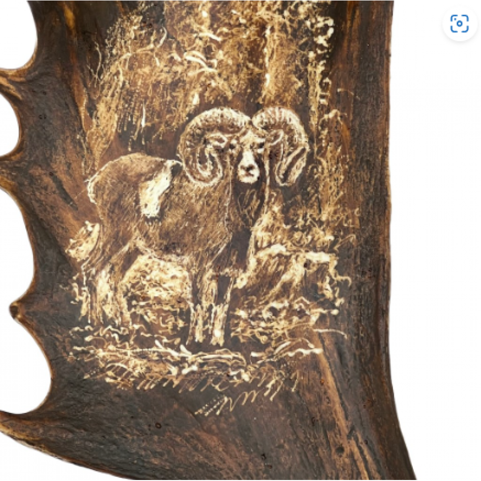 Mindre dovhjorthorn vägglampa med mufflongravyr naturlig 35 cm Mindre dovhjorthorn vägglampa med mufflongravyr naturlig 35 cm