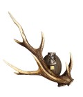 Sika Deer Antler Wall Lamp Natural 42 cm