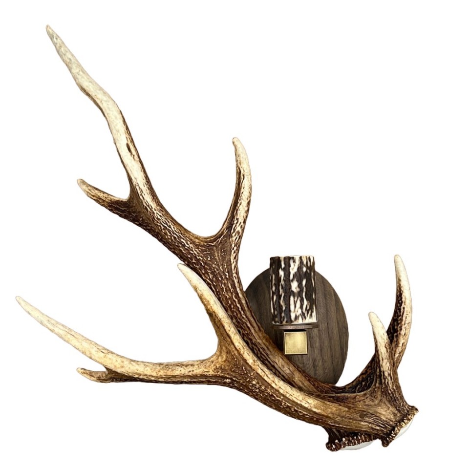 Sika Deer Antler Wall Lamp Natural 42 cm