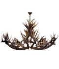 Red and Fallow deer antler oval chandelier 8 light 160cm