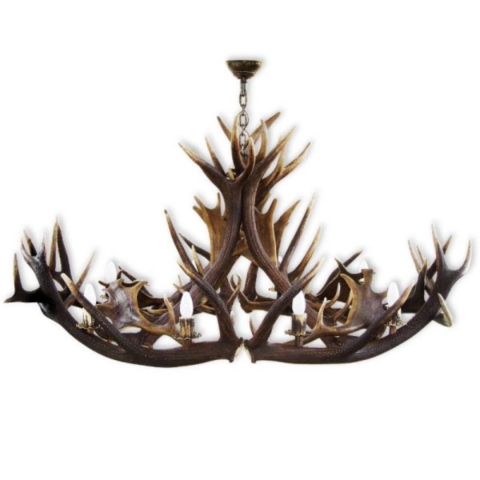 Red and Fallow deer antler oval chandelier 8 light 160cm