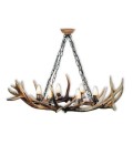 Deer antler oval chandelier 6 light 100cm